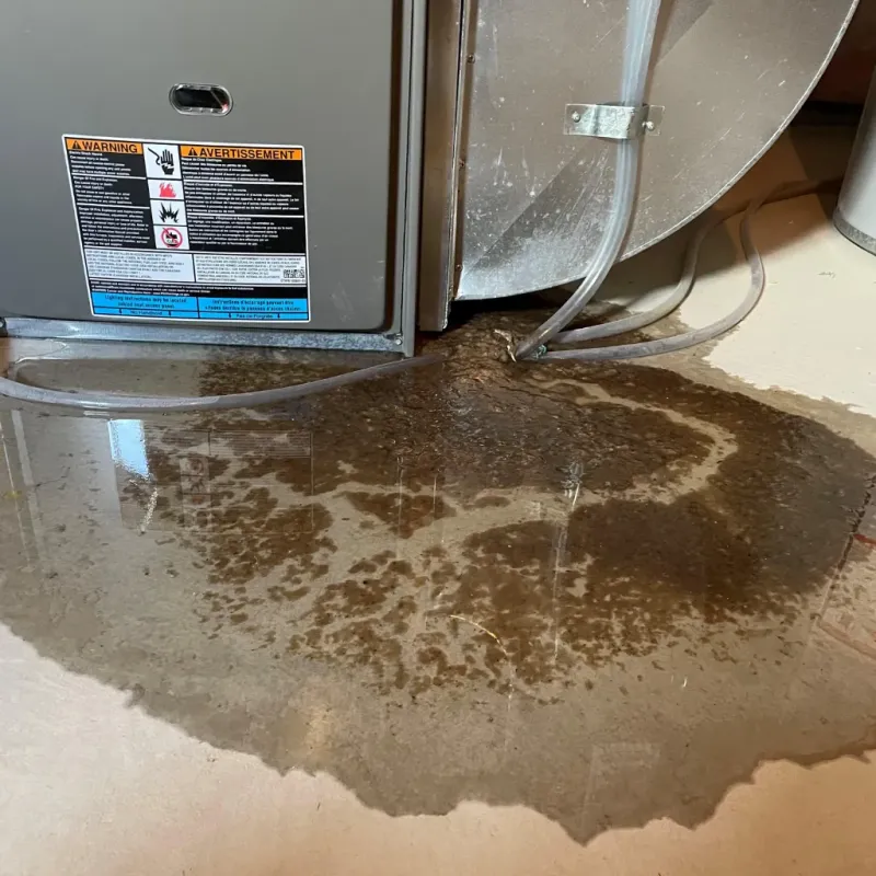 Appliance Leak Cleanup in Logansport, IN