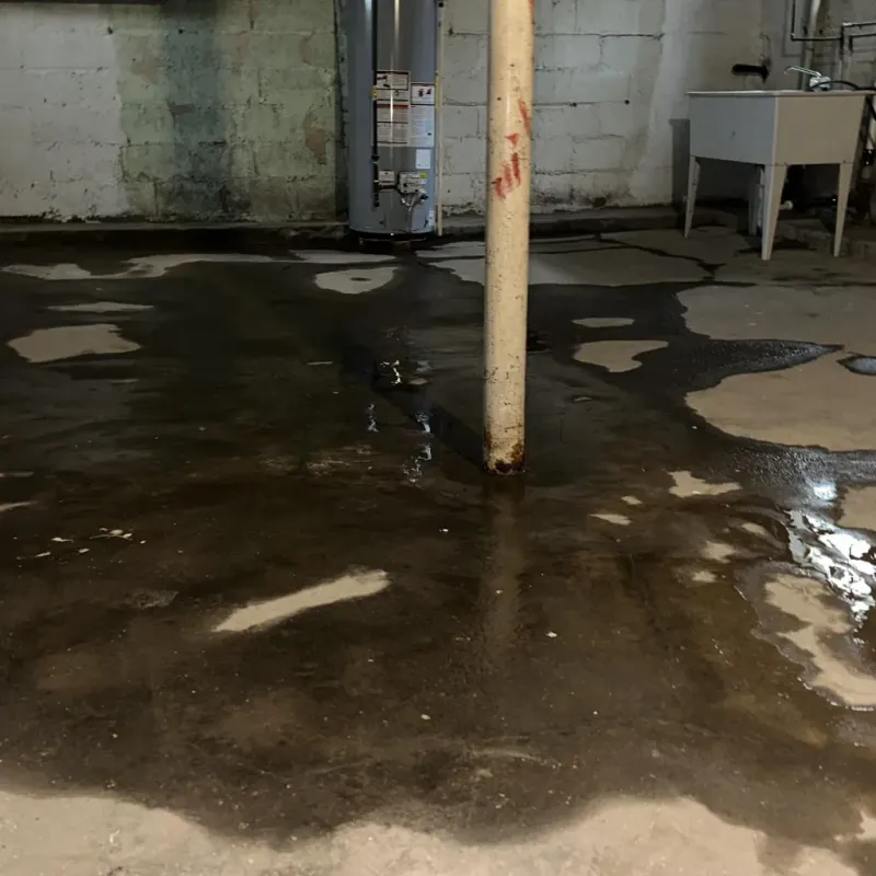 Emergency Water Extraction And Removal in Logansport, IN